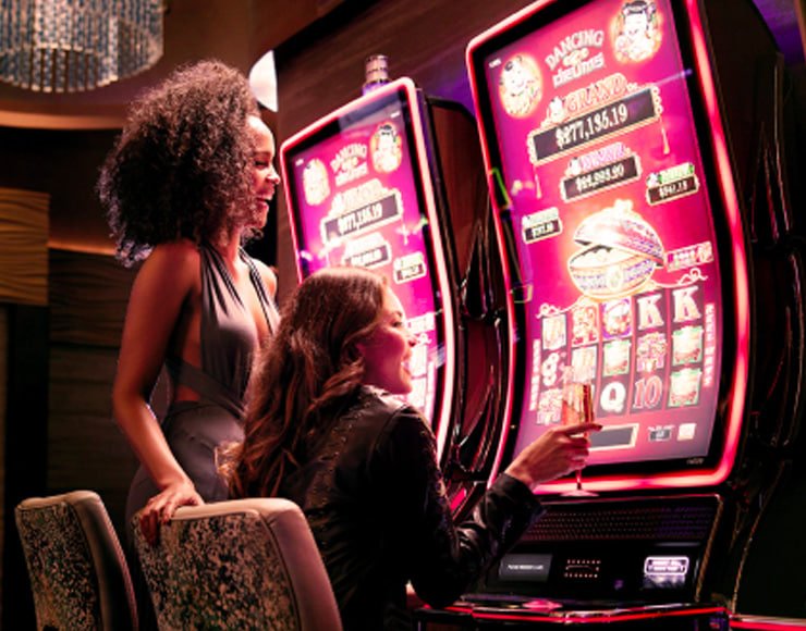 8mbet app